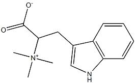 Hypaphorine